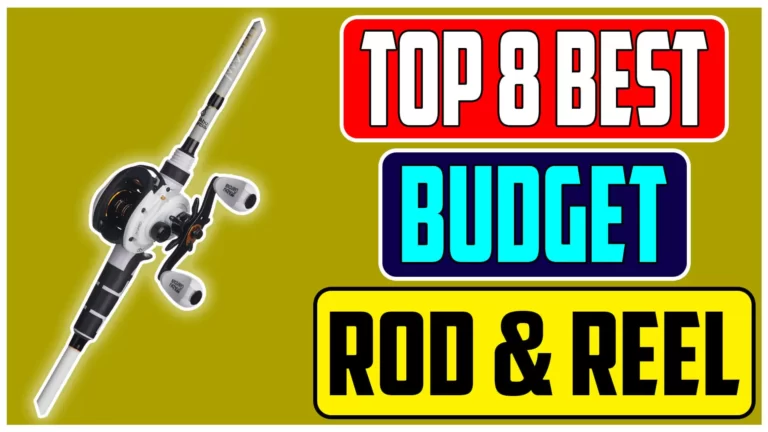 Unveiling the Best Budget Baitcaster Rod and Reel Combo of 2024