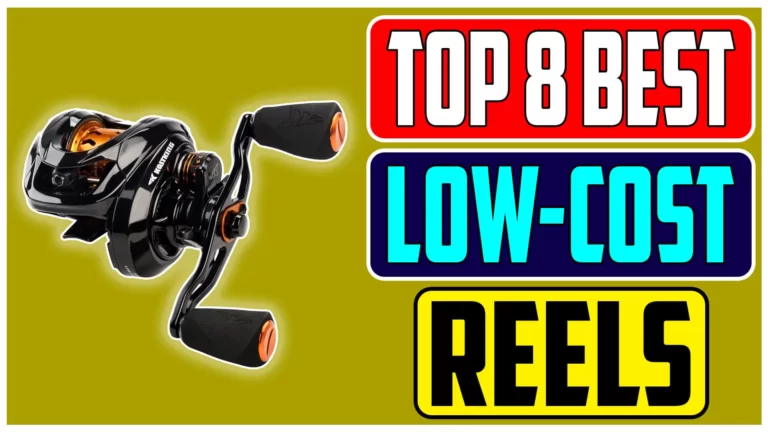 Top 8 Best Low Cost Baitcaster Reels 2024 for Budget Anglers
