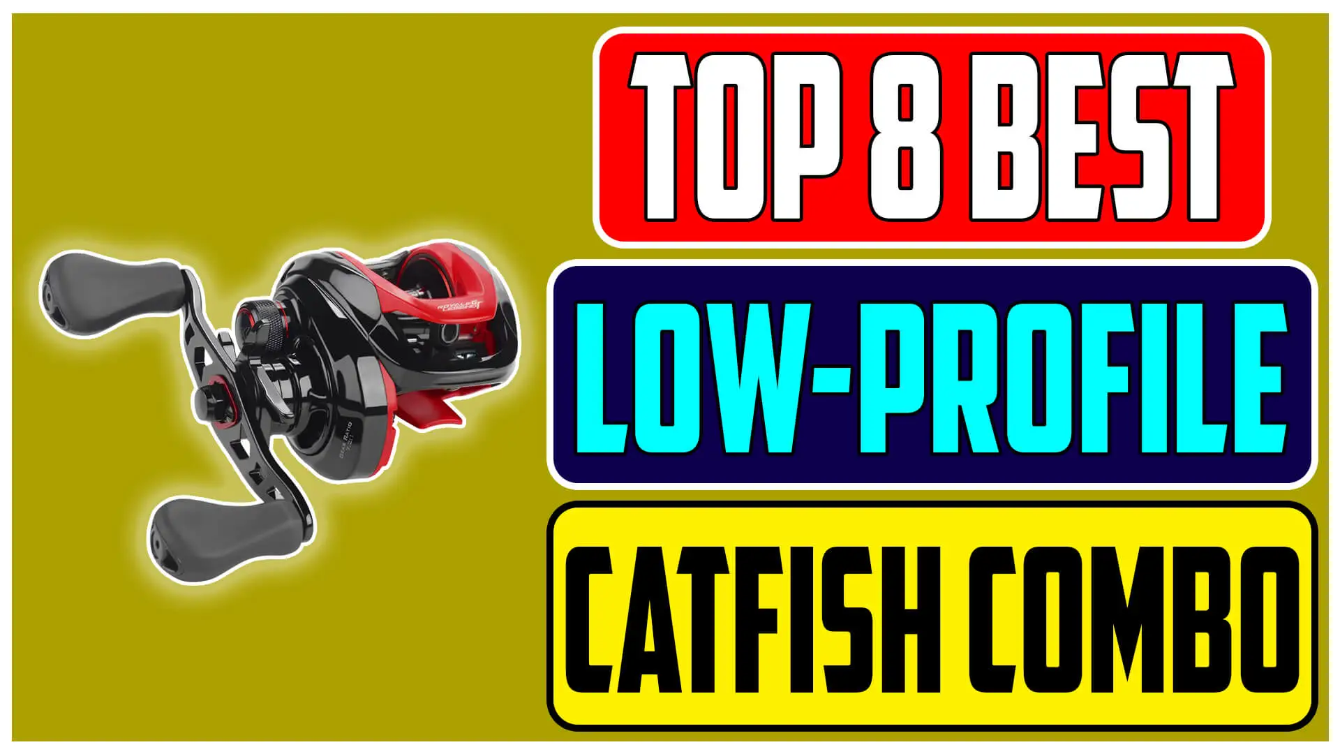 best low profile baitcasters for catfish 2024