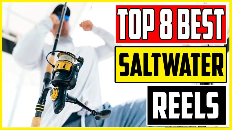 8 Best Saltwater Spinning Reels 2023 Top Spinning Reel Reviews