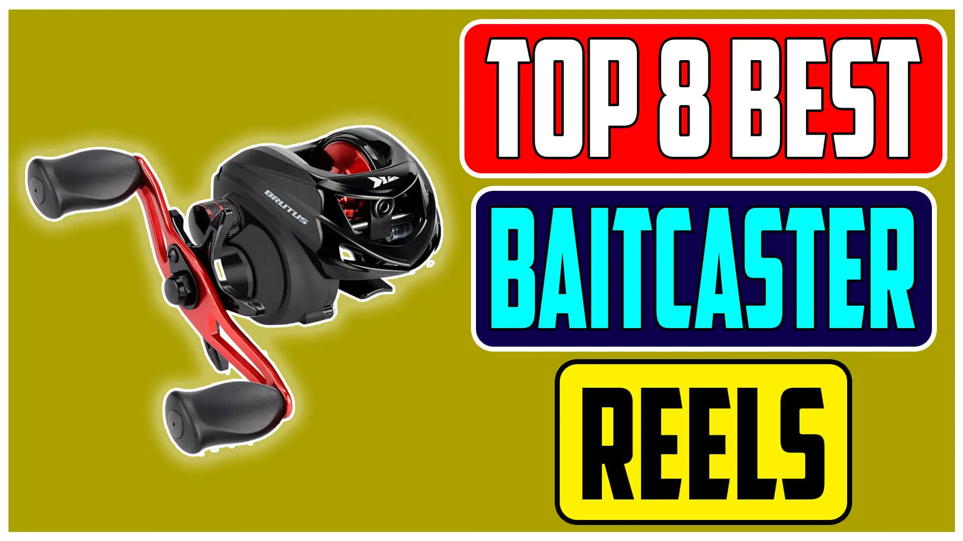 Top 8 Best Baitcaster Reels In 2024 Reviewed