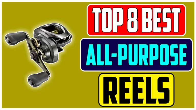 Top 8 Best All Purpose Baitcasting Reels for Every Angler’s Needs In 2024