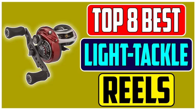 Mastering Finesse Unveiling the Best Baitcasting Reel for Light Tackle in 2024