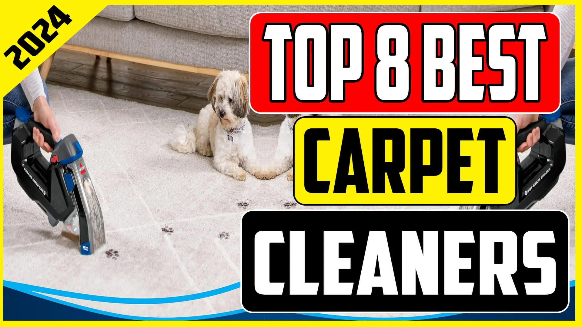 best carpet cleaners 2024