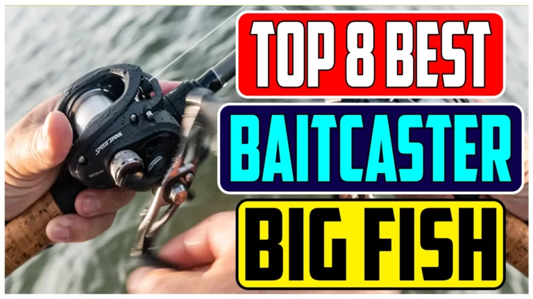 Reel in the Giants Top 8 Best Baitcaster for Big Fish In 2024