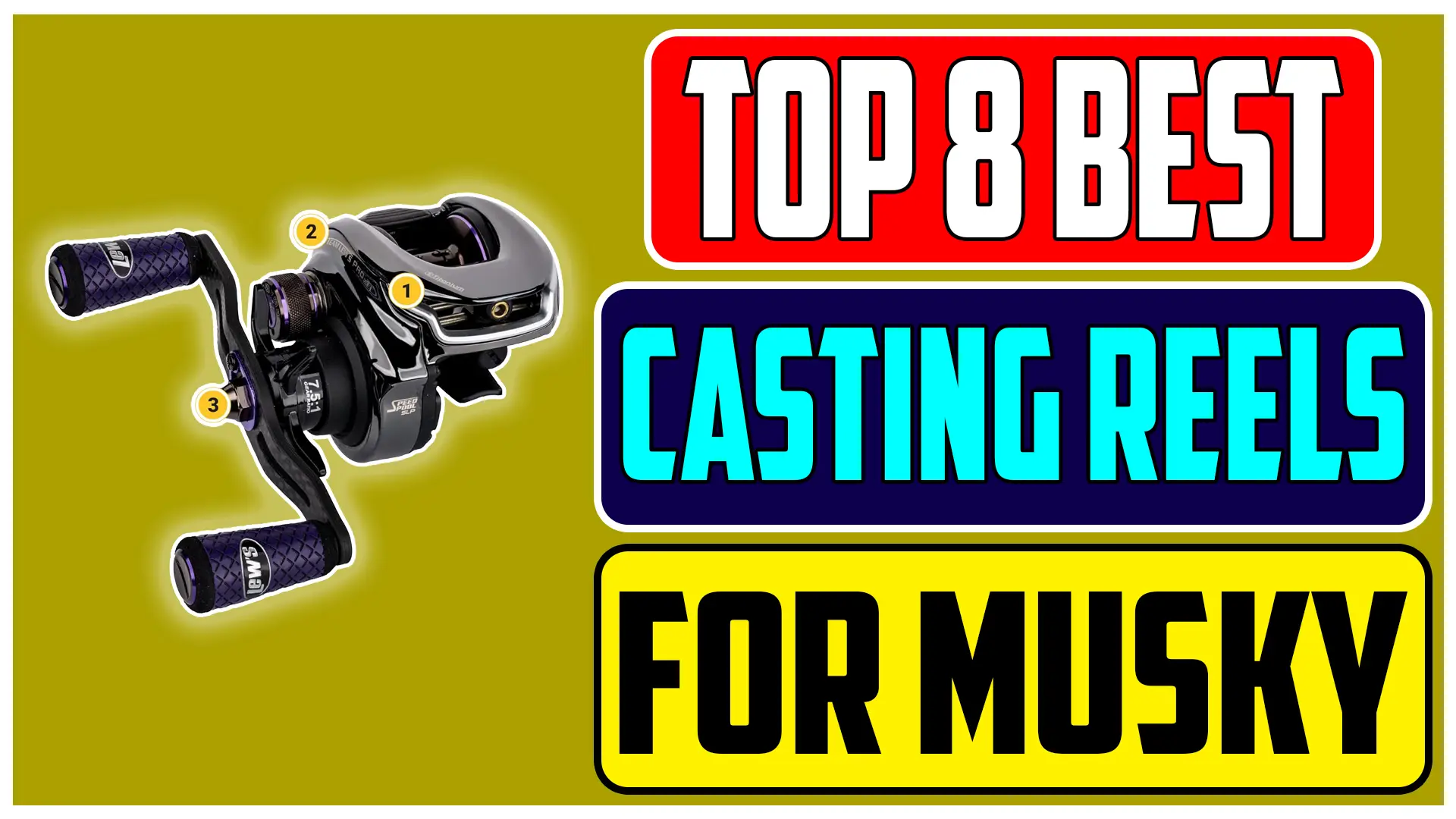 Top 8 Best Baitcasting Reels for Musky In 2024 Comprehensive Review