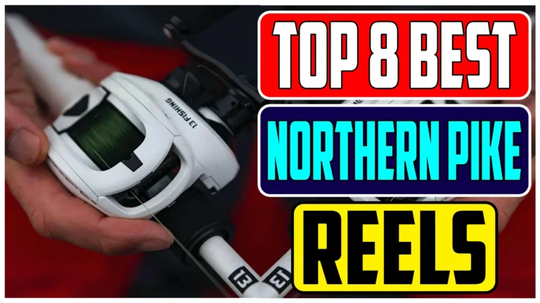 Top 8 Best Baitcasting Reels for Northern Pike Of 2024