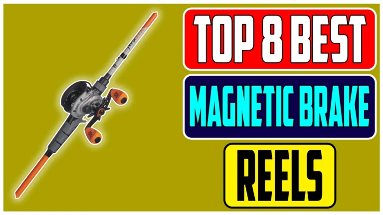 Top 8 Best Magnetic Brake Baitcaster Reels In 2024