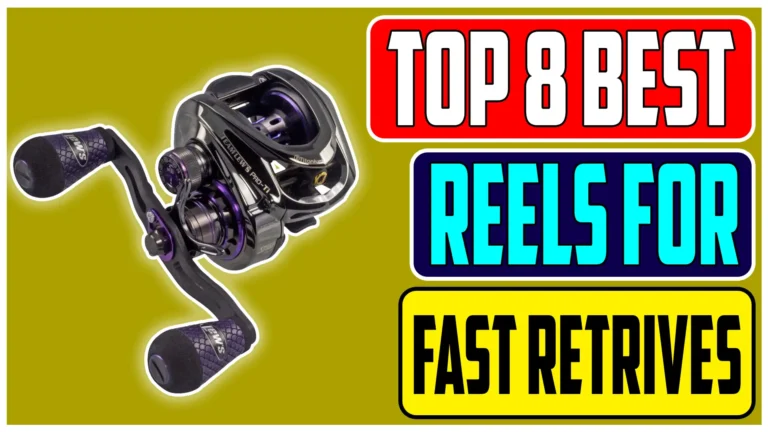 Best High Speed Baitcaster Reels for Fast Retrieves In 2024