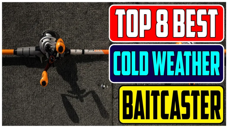 Top 8 Best Baitcaster for Cold Weather of 2024