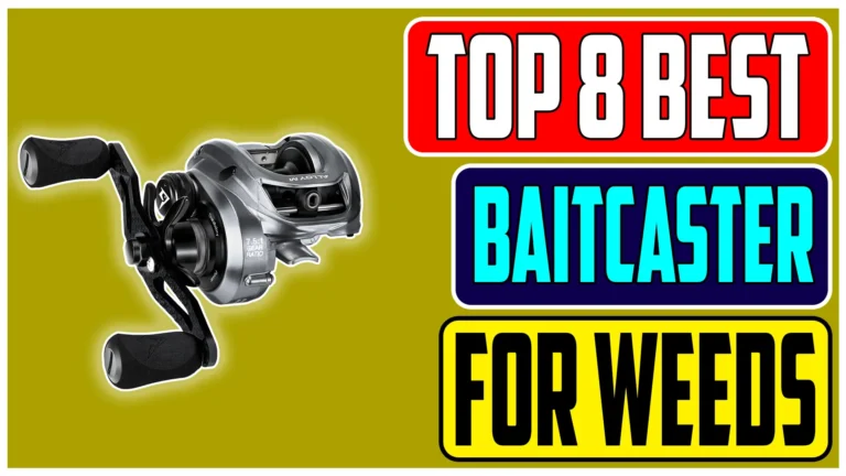 Top 8 Best Baitcaster for Fishing In Weeds Of 2024