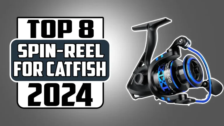 Top 8 Best Spinning Reels for Catfish In 2024
