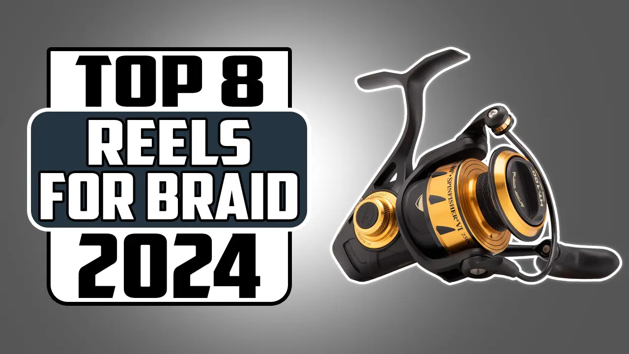 Best Spinning Reels for Braided Line In 2024