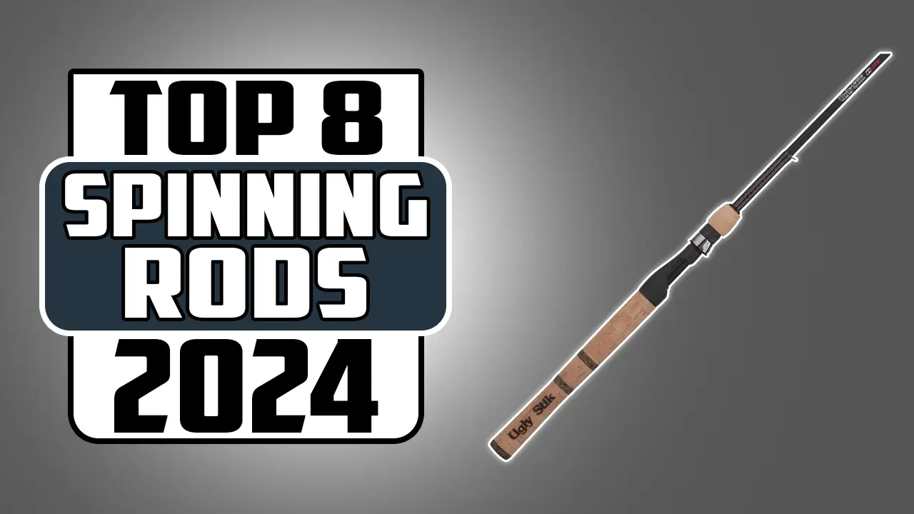 Best spinning rods in 2024