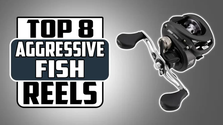 Top 8 Best Baitcasting Reels for Aggressive Fish In 2025