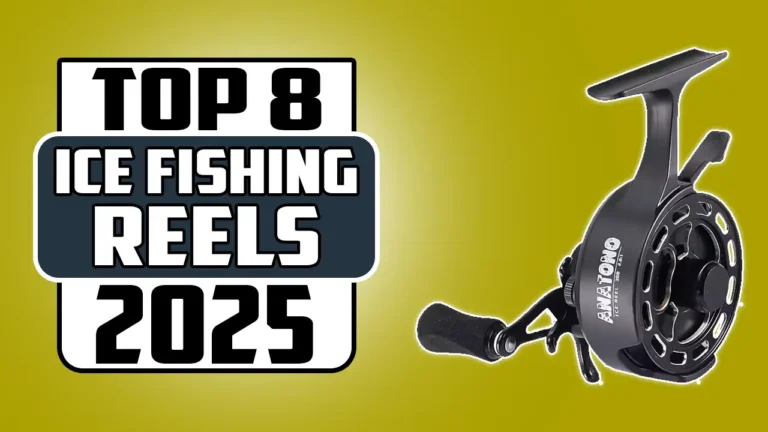 Best Baitcasting Reels for Winter Fishing In 2025