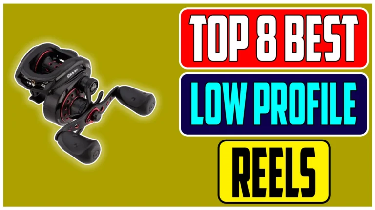 Top 8 Best Low Profile Baitcasting Reels for Small Hands in 2025